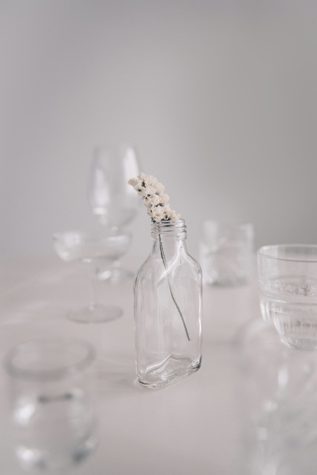Ambre Précieux